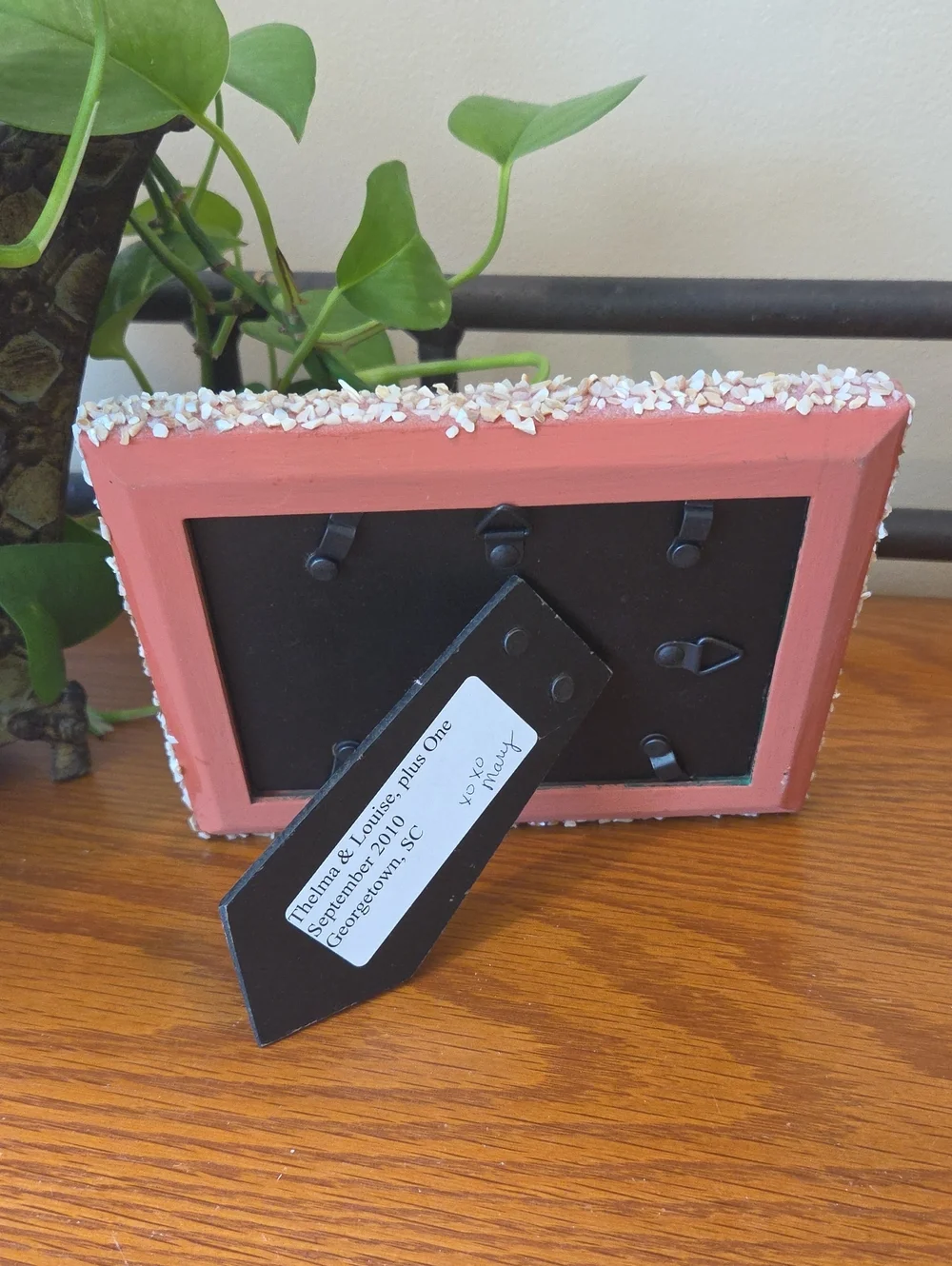 Seashell Photo Frame - Natural- Holds 3x5 Photo